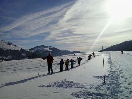 Group cross-country skiing courses for children