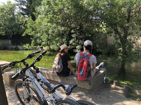 36 - Balade sur les rives de la Sorgue