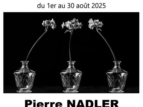 Expo 1 mois 1 artiste à la bibliothèque de La Flotte : Pierre Nadler