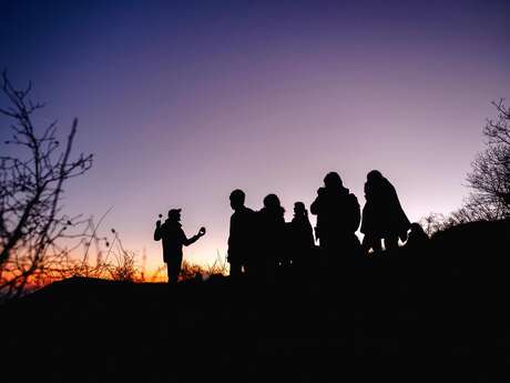 Nuit des étoiles d'hiver