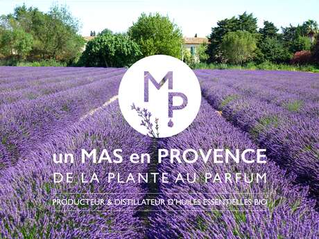 Un Mas en Provence