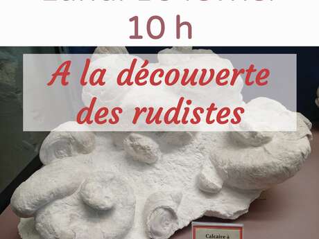Atelier "A la découverte des rudistes"