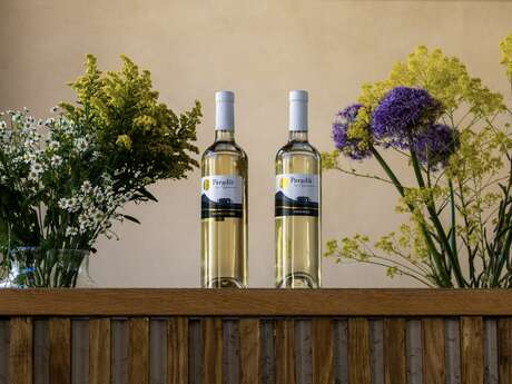 SAMEDI 21 MARS – Masterclass blancs et Apéritif