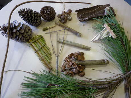 Nature activity: Green Music