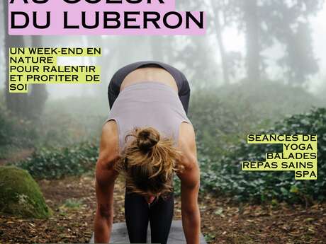 Stage de yoga