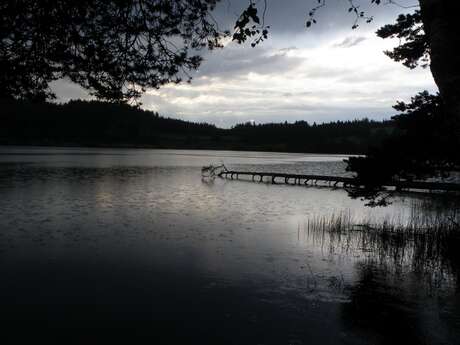 Balades « Nature et patrimoine » :  Le lac au crépuscule