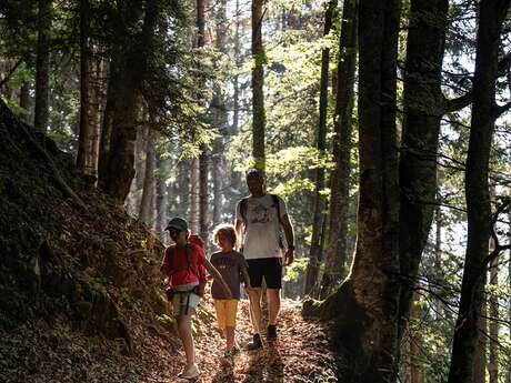 Visite d'une forêt lauréate du Sylvotrophée