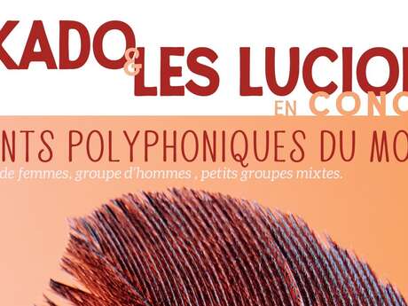 Mikado & les Lucioles en concert