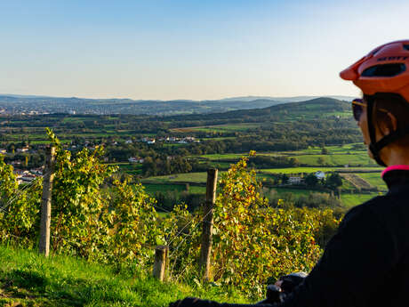 Rando Distillerie en VTTAE