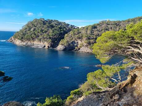 Randonnée matinale découverte de la Presqu'île de Giens (8km) Randonnée matinale découverte de la Presqu'île de Giens (8km)