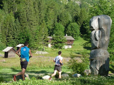 Trail