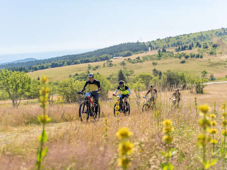 Bike and fourme festival