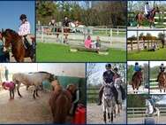 Poney Club des Fourches