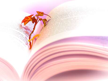 Le Printemps des Poètes : je lis pour toi de la poésie