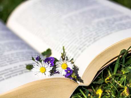 Bibliothèque au jardin