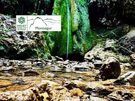 Au fil de l’eau : paysage et biodiversité