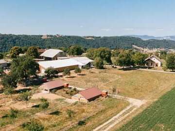 Free-range poultry sales at Renounière farm