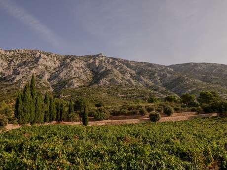Tour de la Ste Victoire