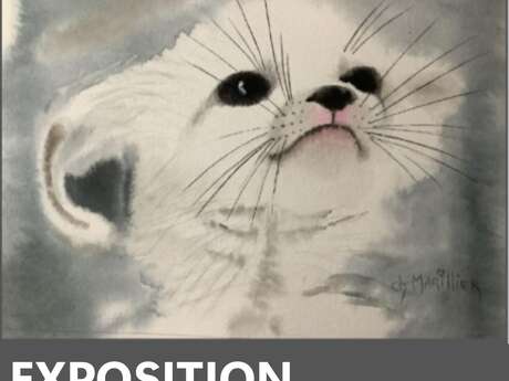 Exposition des aquarelles de Christine Marillier