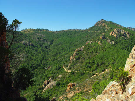 Randonnée "Le Mont Saint Martin"