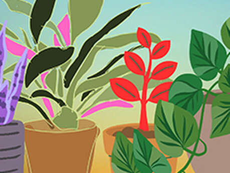 Atelier - Création de plantes en papier