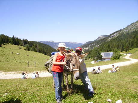 Mit Eseln begleitete Tour Mit Eseln begleitete Tour