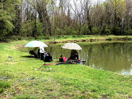 Initiation à la pêche de la carpe pour les enfants