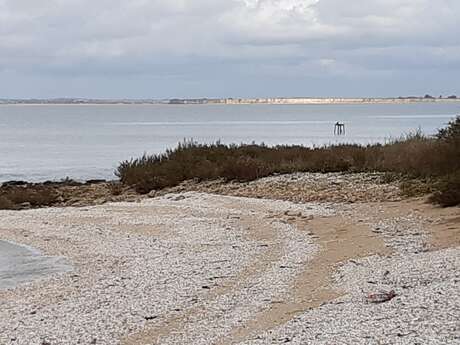 La baie d'Yves au fil des Temps - Les Temps modernes