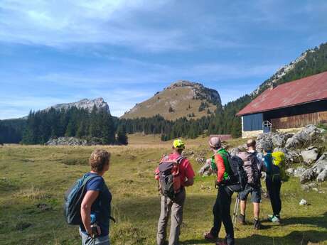 Randonnée pédestre avec Lézard des Bois