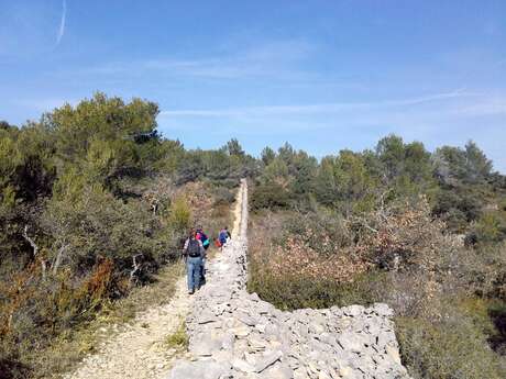 CABRIÈRES D'AVIGNON - Le mur de la Peste
