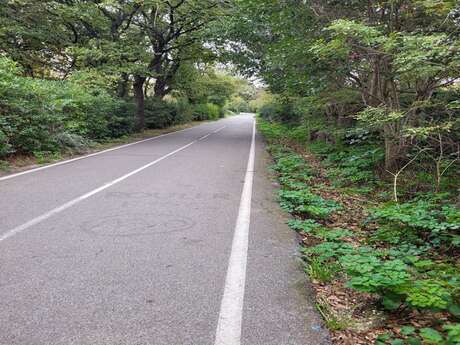 De Toulon au Plan de la Garde - Parcours Cyclable du Littoral
