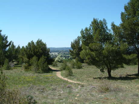 Eyragues : sur le chemin de la Transhumance