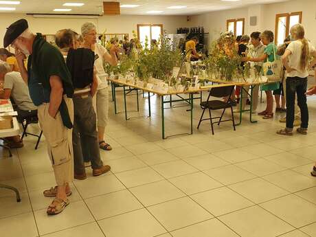 Les Floralpines 2026 - exposition de fleurs sauvages du Queyras
