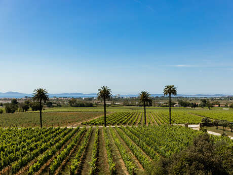 Einführungsparcours im Château Galoupet