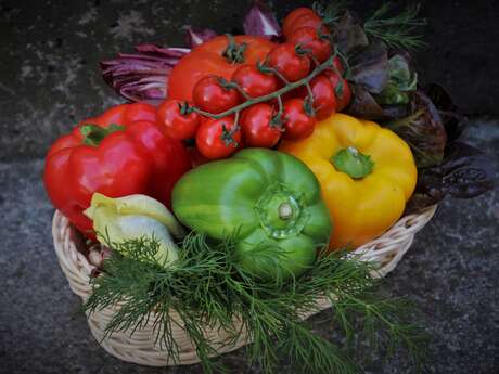 Le Jardin de Jacquot