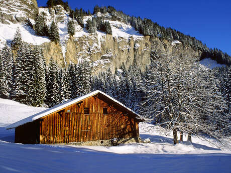 Sortie raquettes : les Fontanettes: un bijou !