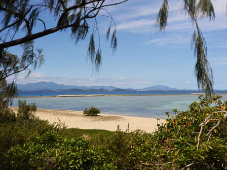 Signal islet Path