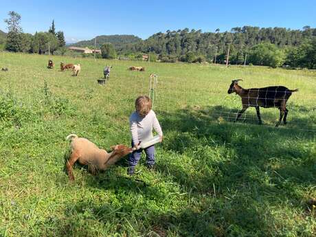 Ferme pédagogique - L'espigaou