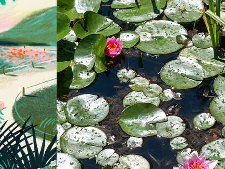 RENDEZ-VOUS AUX JARDINS | VISITE GUIDÉE - QUAND L'EAU COULE DANS LE CLOS HÉBERT
