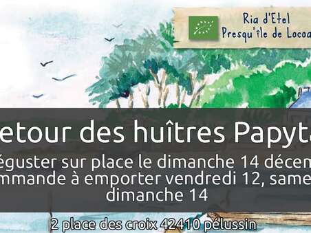 Le retour des huitres Papytaine !!
