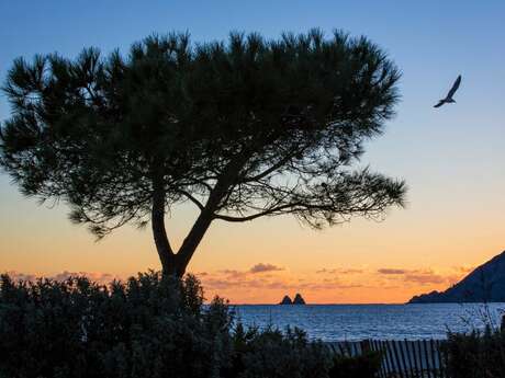 Parc paysager Fernand Braudel