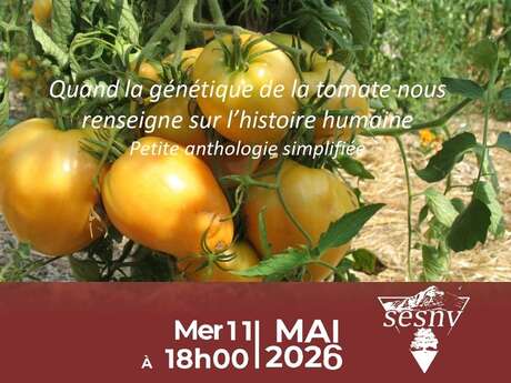 Quand la génétique de la tomate nous renseigne sur l'histoire humaine / petite anthologie simplifiée