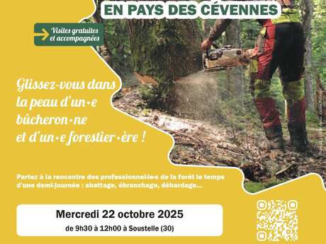 Vis ma vie de Bûcheron
