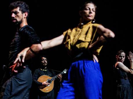 Workshop Festival de la Danse avec Nino Patuano de la Cie Anton Lachky