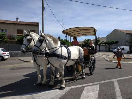 Les Calèches de Mado