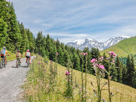 Parcours VTT n°2 _ L'échappée Saint-Nicolataine - ROUGE