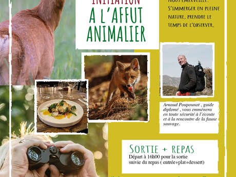 Sortie d'initiation à l'affût animalier et repas
