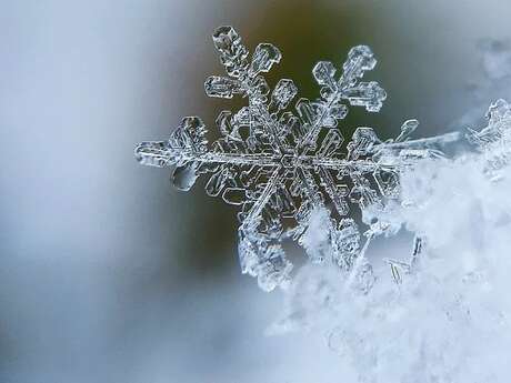 Atelier d'expériences "Le p'tit labo de la neige"