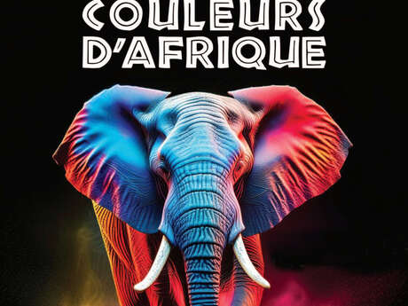 8ème Journée Villeneuve'Africa