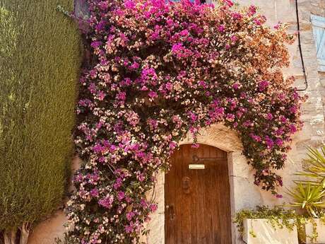 Hilios Tours : Escapade provençale